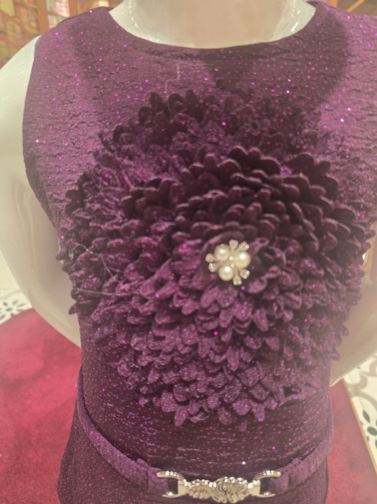 Wine Shimmer Sleeveless Western Party Wear Dress with Belt – Body Fitting