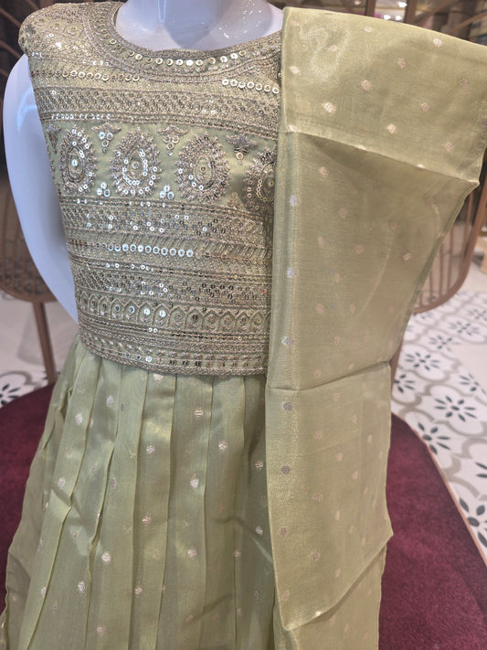 Light Green Organza Tissue Ethnic Wear Ghagra for Girls with Sequin and Zari Work, Small Butta Skirt and Worked Border