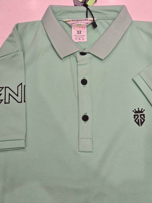 Imported Material sea green color tshirt for boy with colar neck