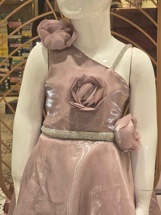 Girl Fawn Organza Party Wear Gown