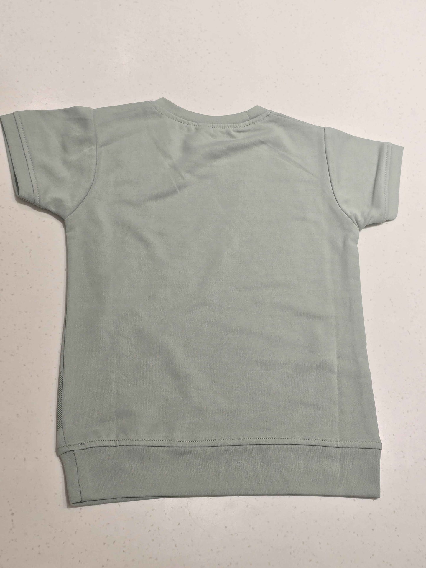 Boys Pista Green Stretchable Half Sleeve T Shirt