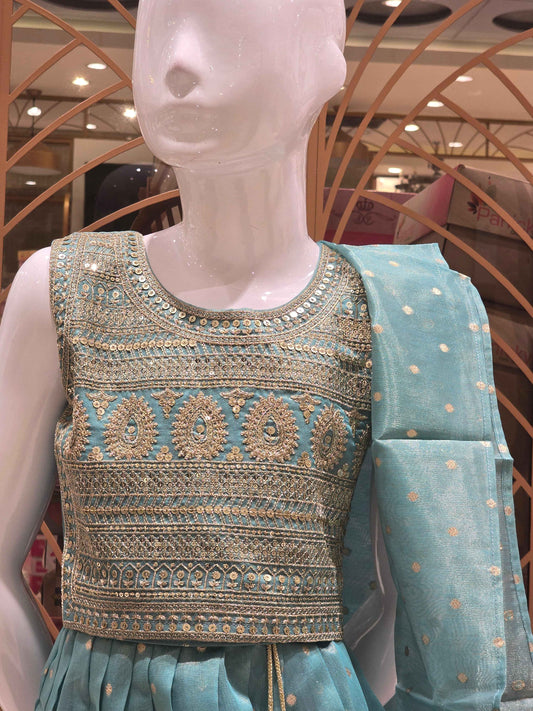 Organza material radium green colour ethnic wear gaghra choli with zari work and top & border. Small butta over the body