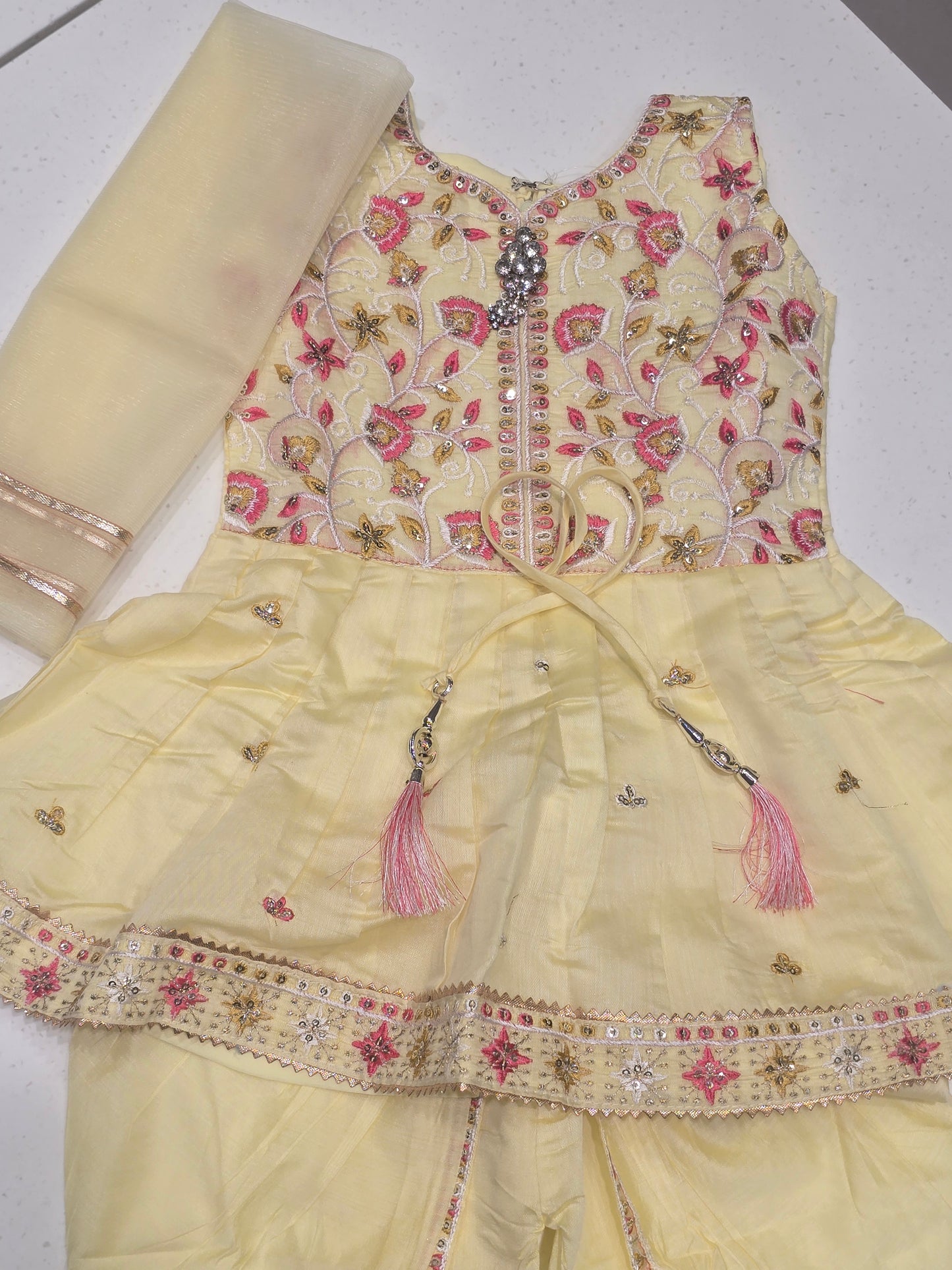 Cherry Pink Banarasi Georgette Indo-Western Set for Women