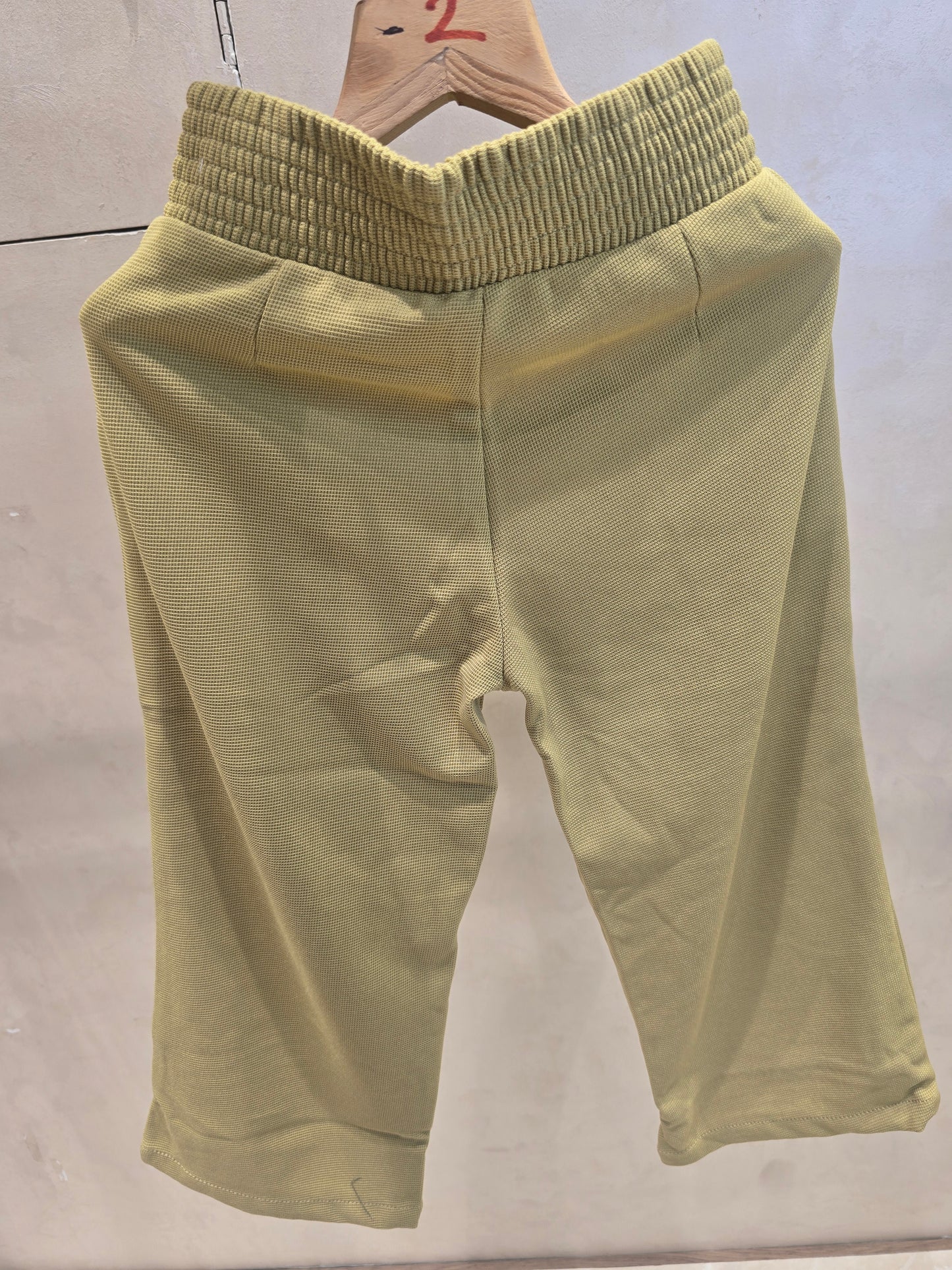 Light Green Stretchable Lycra Pant with Elastic Waist and Stylish Logo