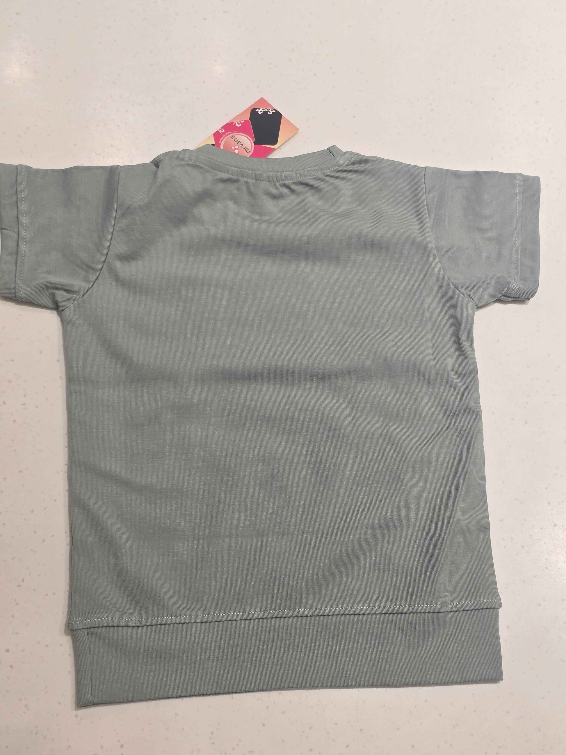 Boys Pista Green Stretchable Printed T Shirt