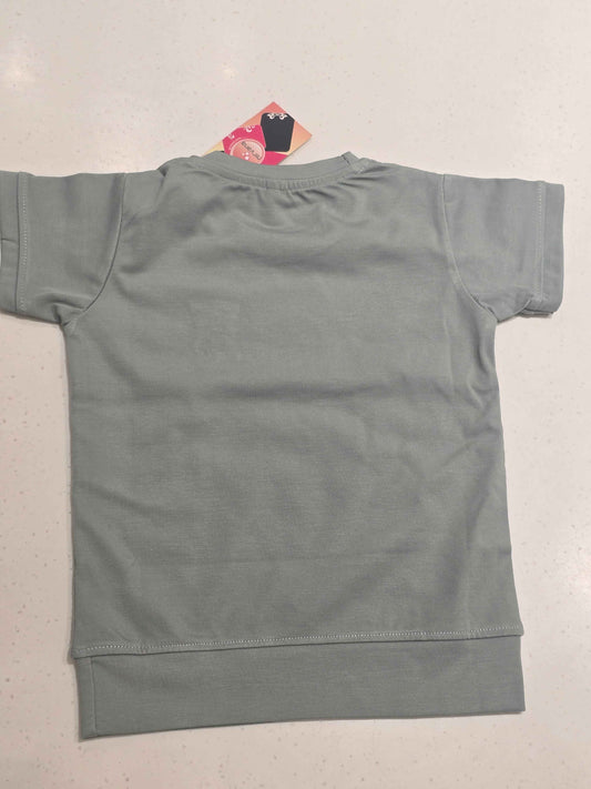 Boys Pista Green Stretchable Printed T Shirt