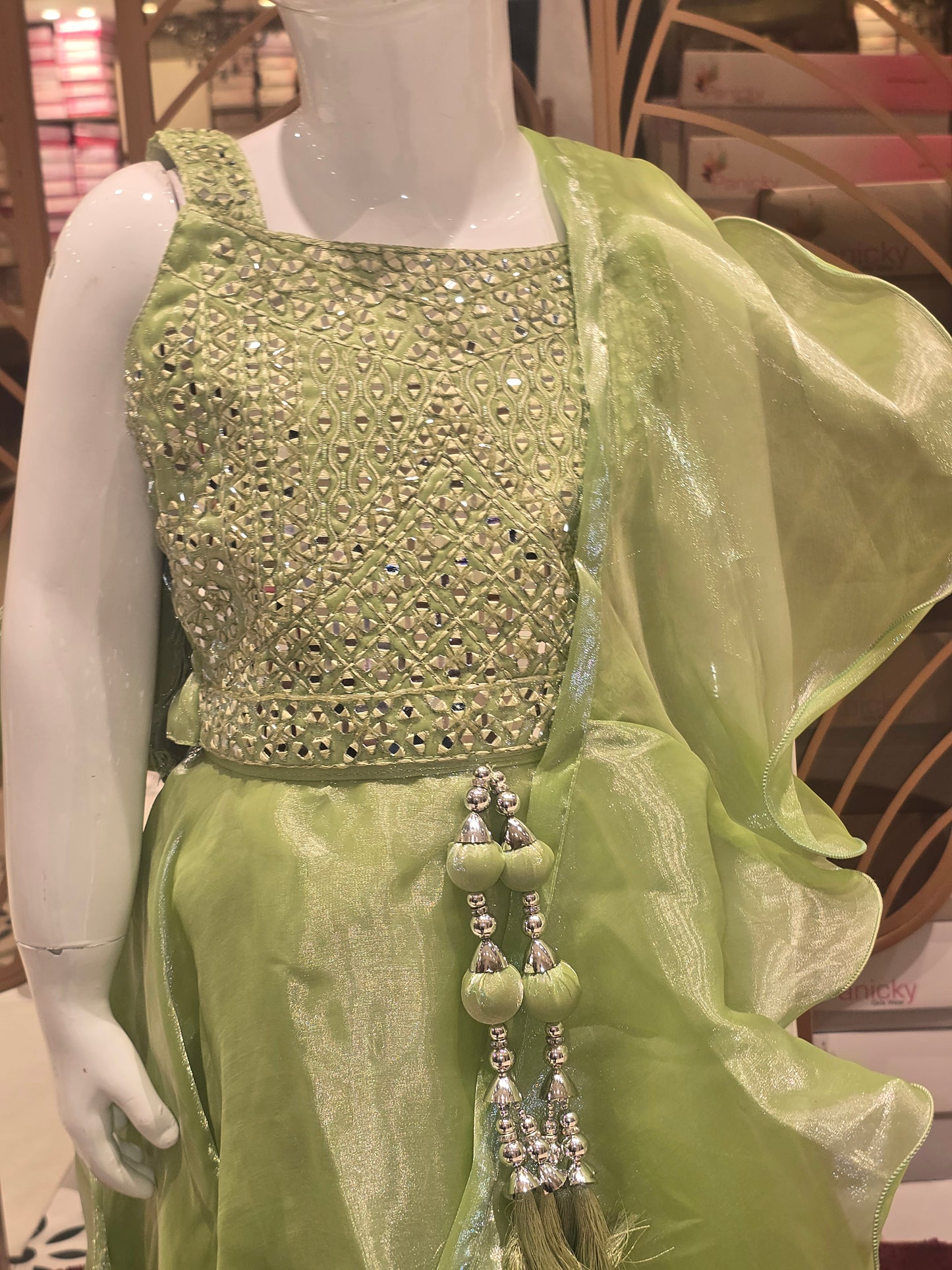 Girls Pista Organza Party Wear Gaghra Set