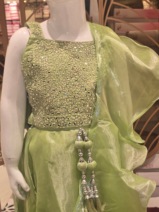 Girls Pista Organza Party Wear Gaghra Set