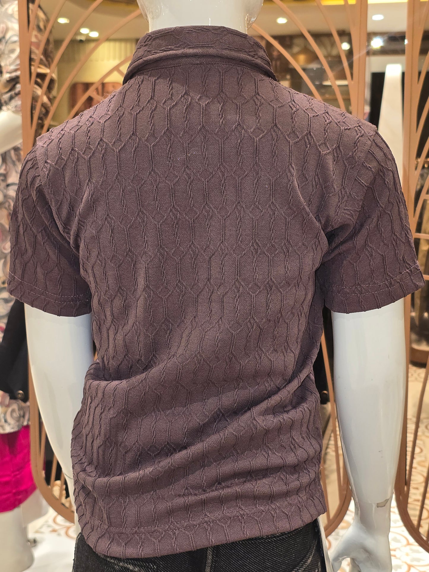 Boys Lavender Brown Lycra Collar Neck T Shirt