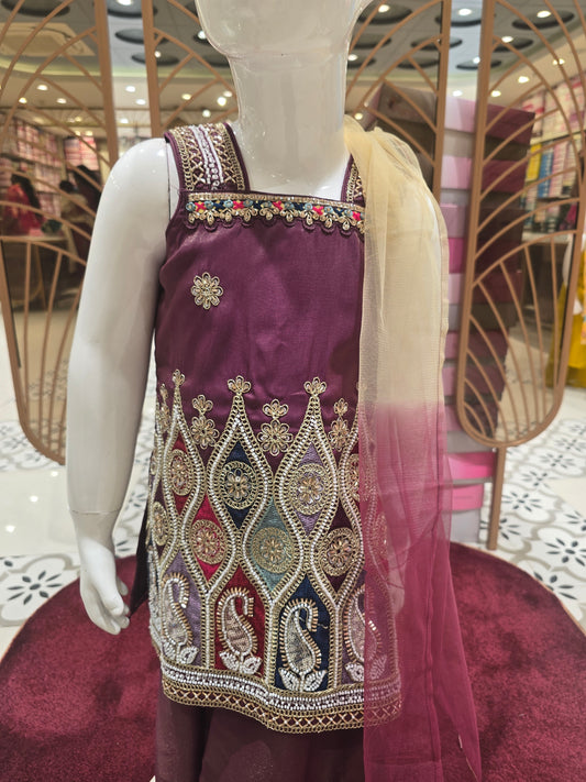 Girls Wine Dual Shade Tissue Sharara Set with Multicolour Embroidery