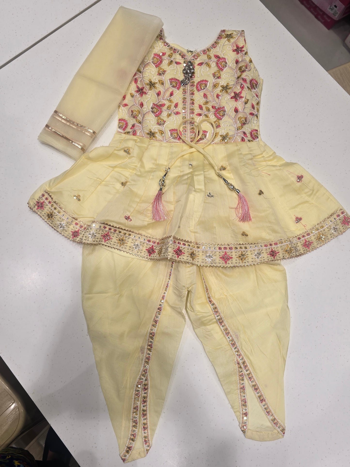 Cherry Pink Banarasi Georgette Indo-Western Set for Women