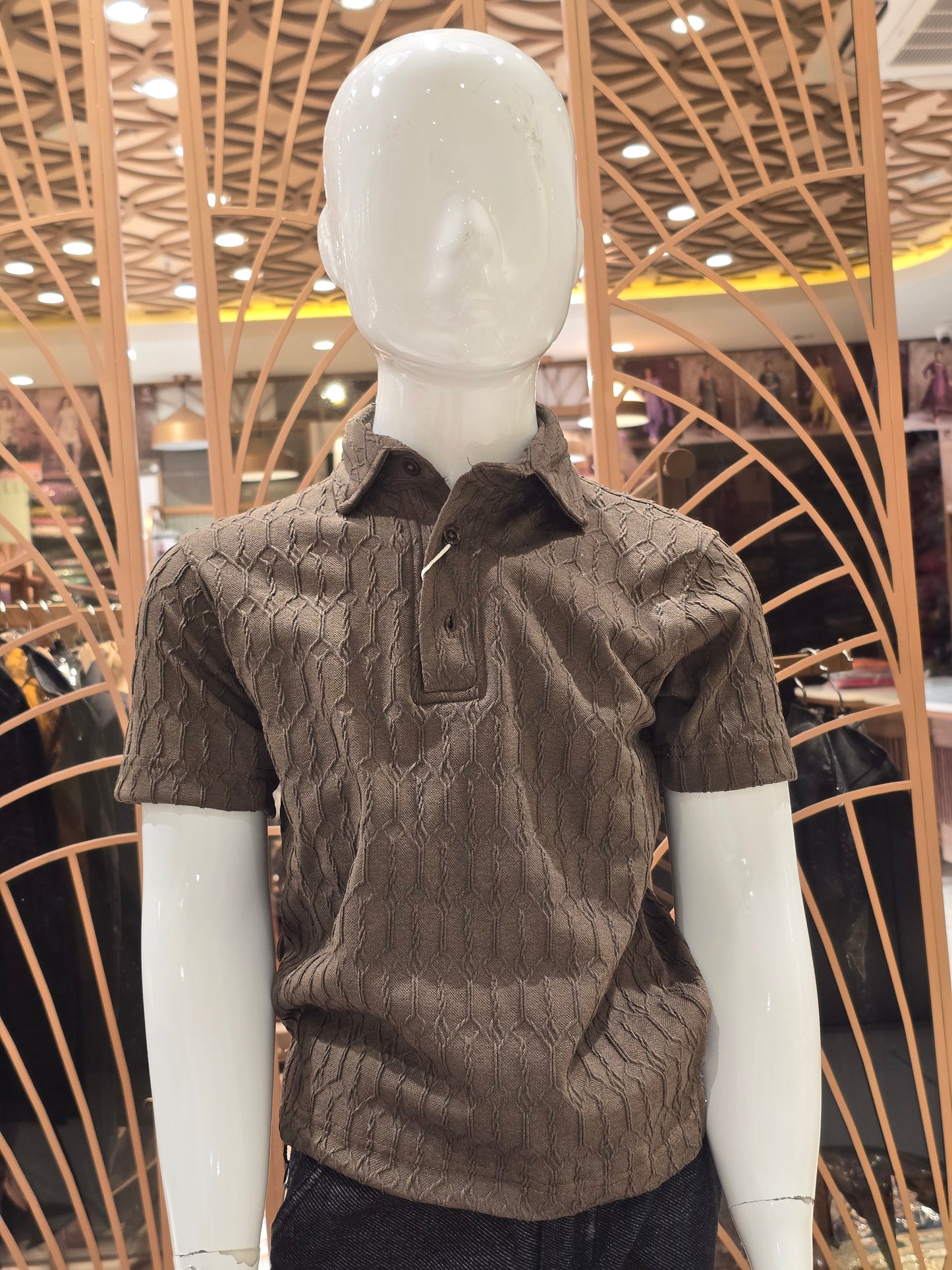 Boys Lavender Brown Lycra Collar Neck T Shirt