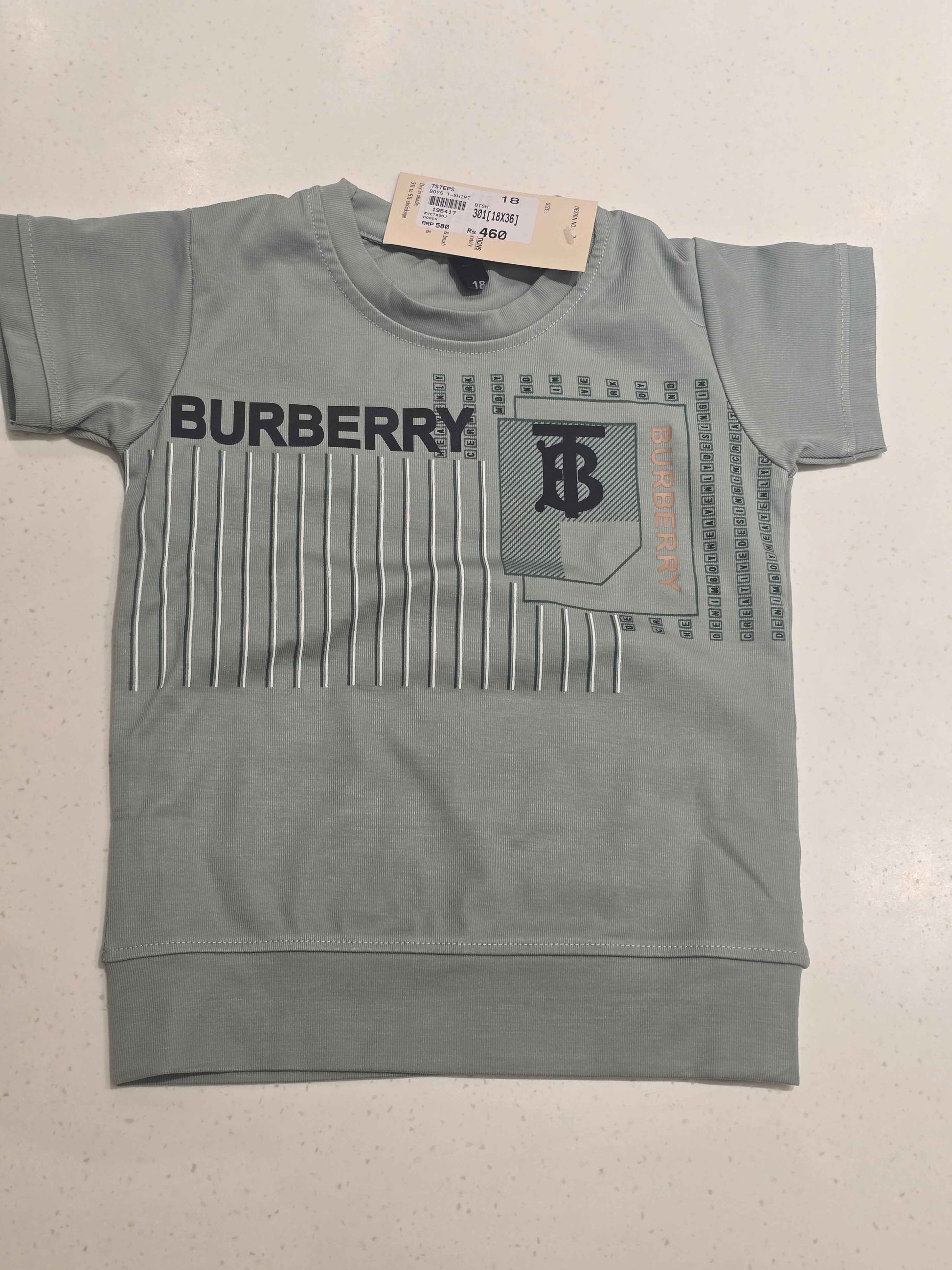 Boys Pista Green Stretchable Printed T Shirt
