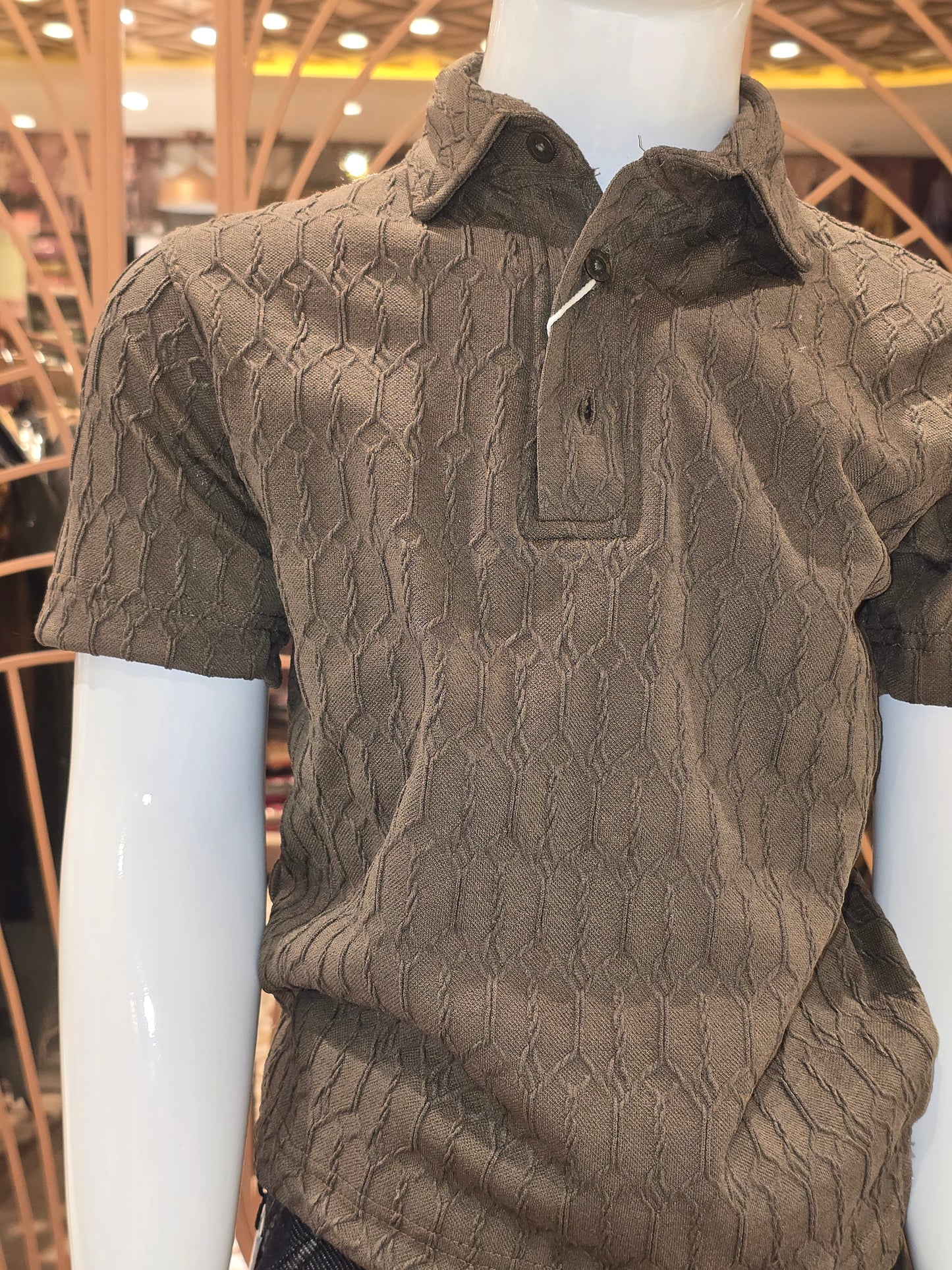 Boys Lavender Brown Lycra Collar Neck T Shirt