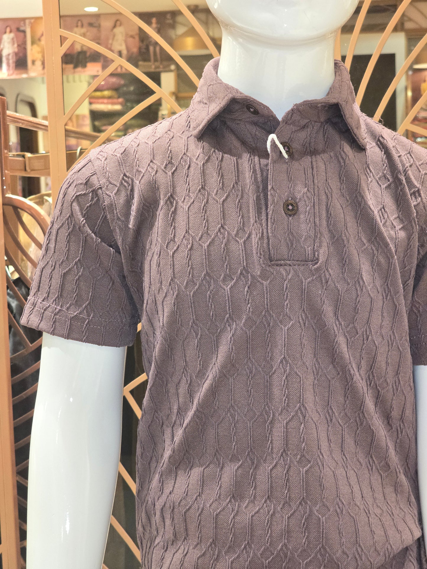 Boys Lavender Brown Lycra Collar Neck T Shirt