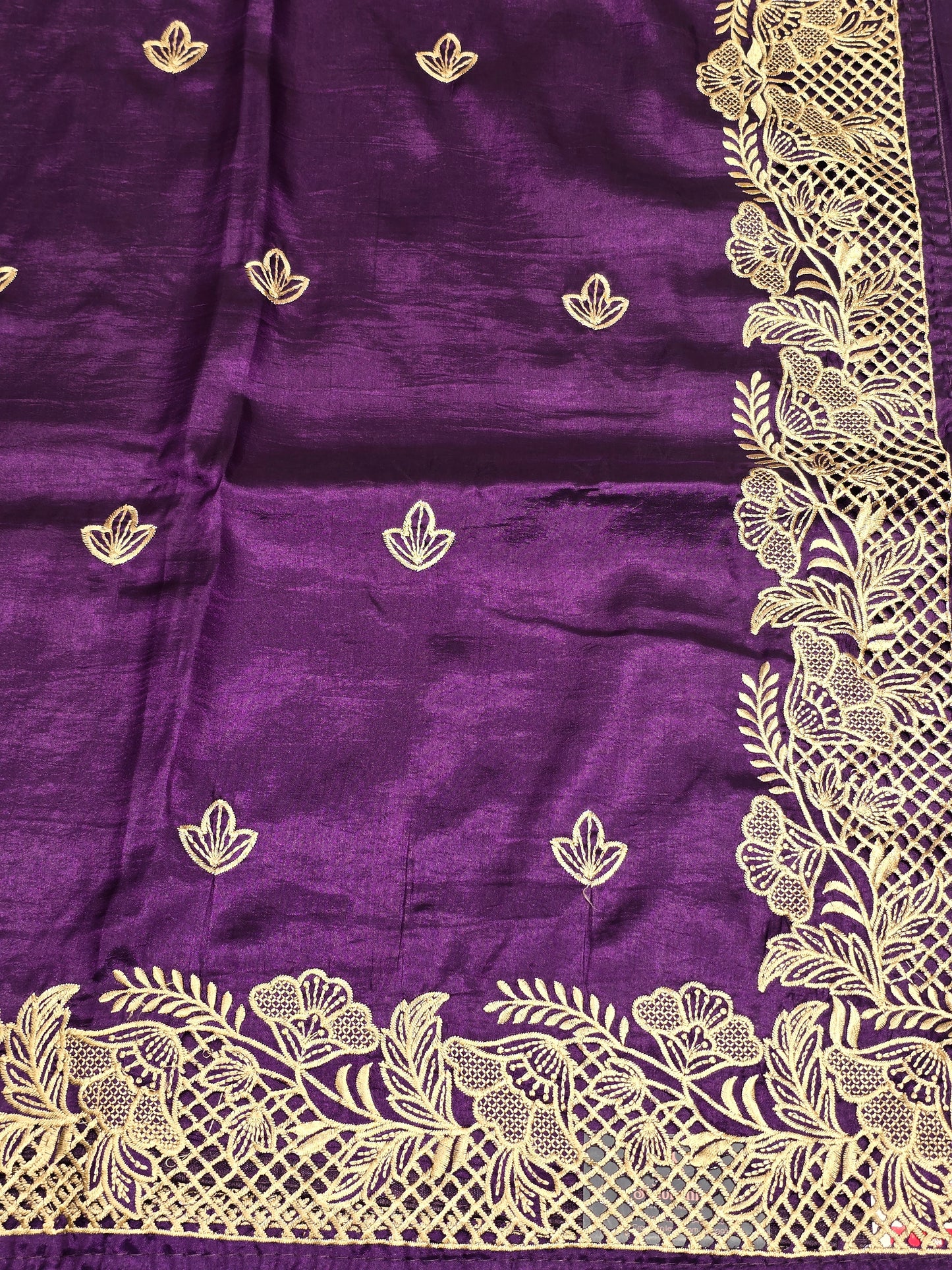 Maroon Tussar Saree with Golden Embroidery Border