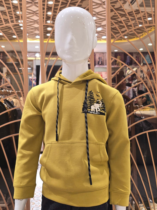 Boys Mehndi Green Lycra Cotton Hoodie Top