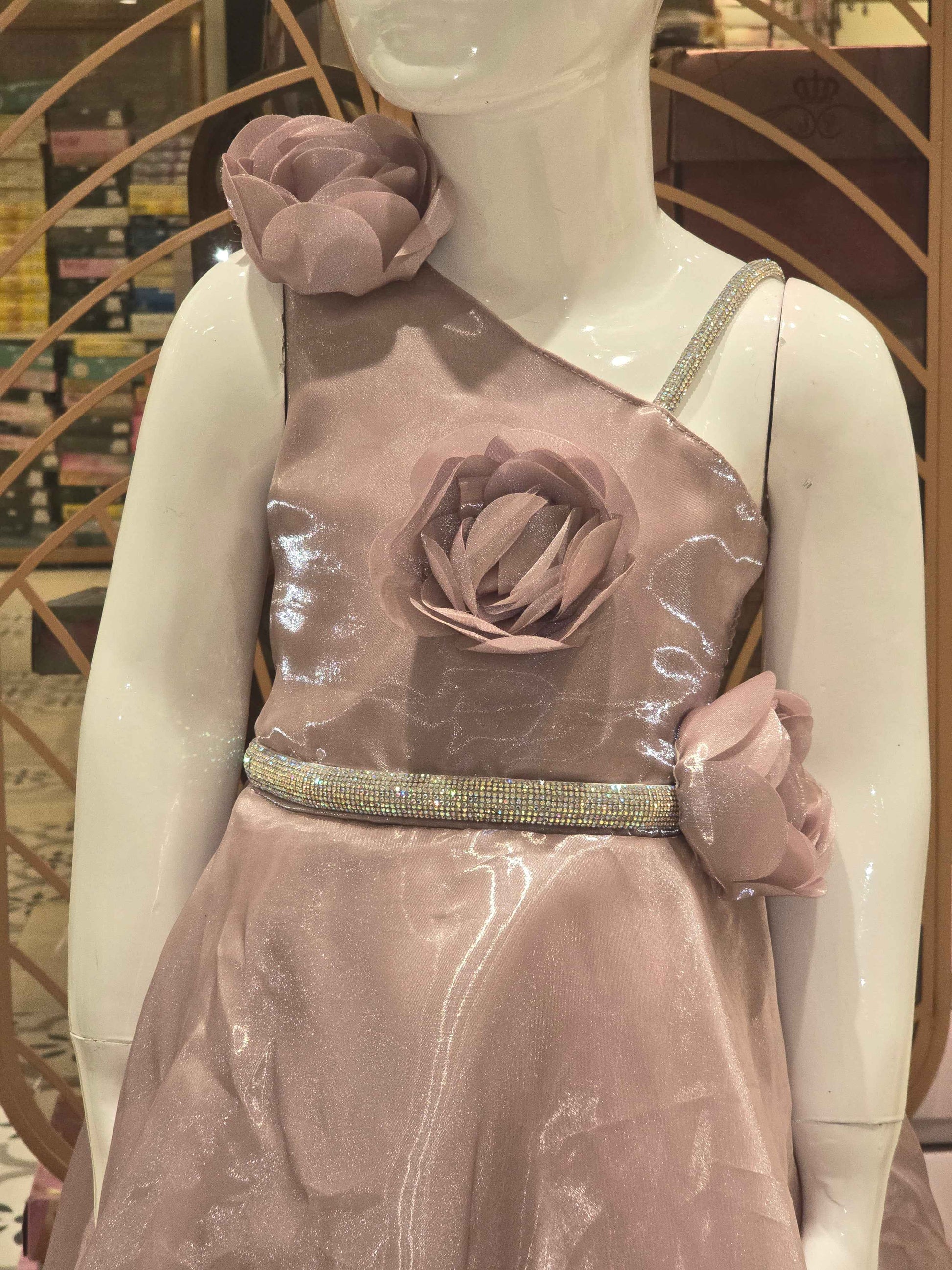 Girl Fawn Organza Party Wear Gown