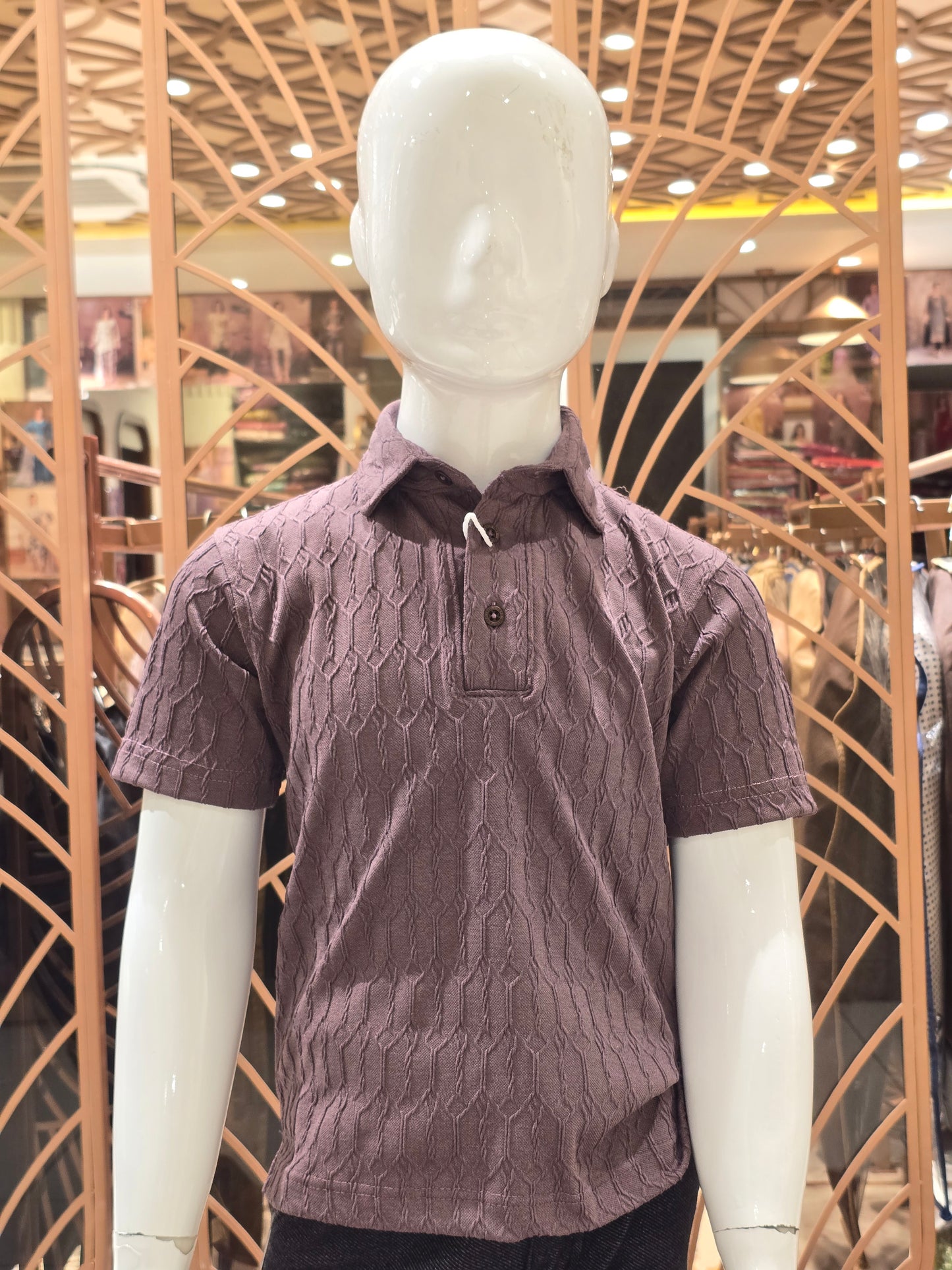 Boys Lavender Brown Lycra Collar Neck T Shirt