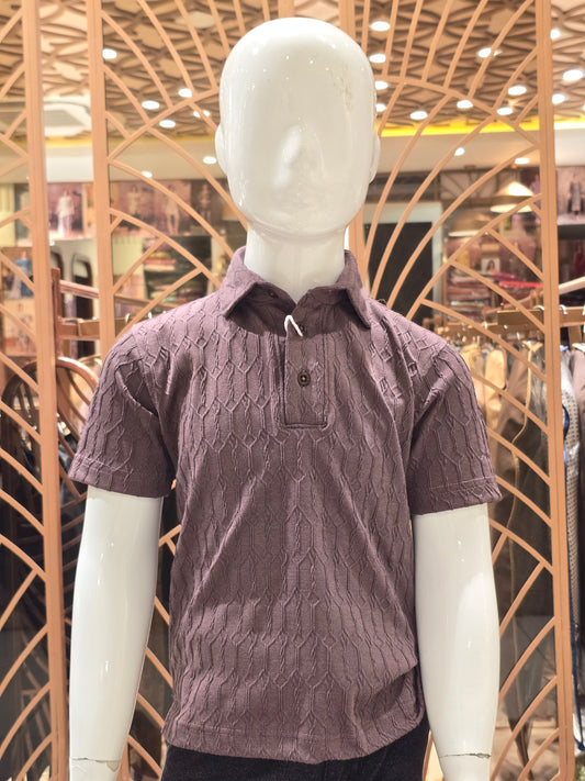 Boys Lavender Brown Lycra Collar Neck T Shirt