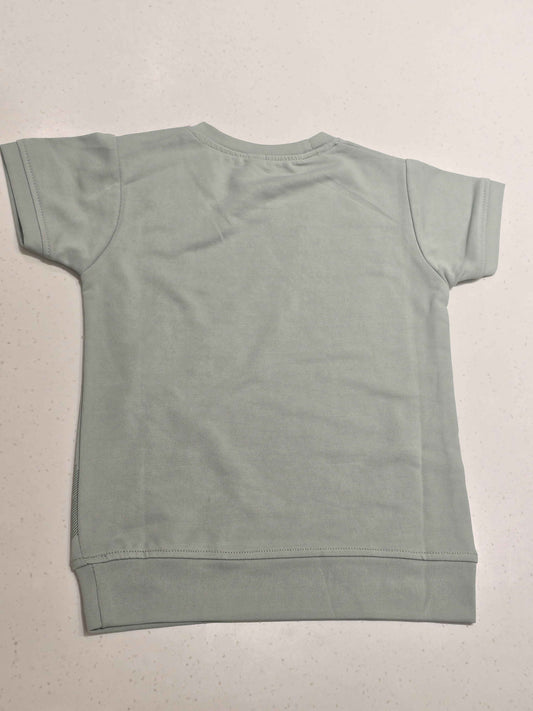 Boys Pista Green Stretchable Half Sleeve T Shirt